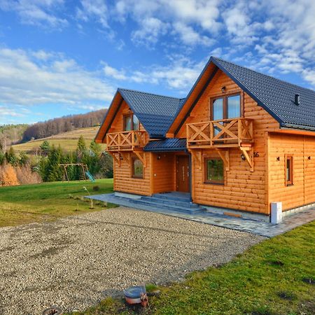 Gospodarstwo Agroturystyczne Bieszczadzki Blizniak Baligrod Ngoại thất bức ảnh